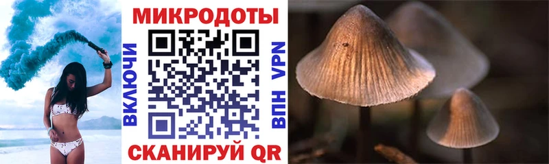 Галлюциногенные грибы Magic Shrooms  наркота  гидра маркетплейс  Узловая 