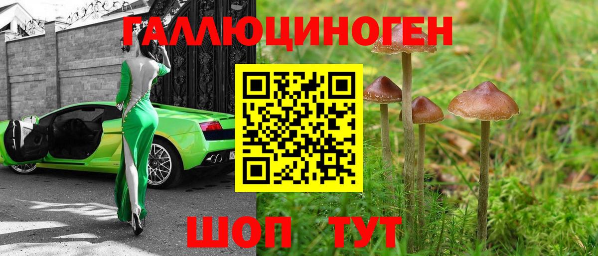 Галлюциногенные грибы прущие грибы Узловая