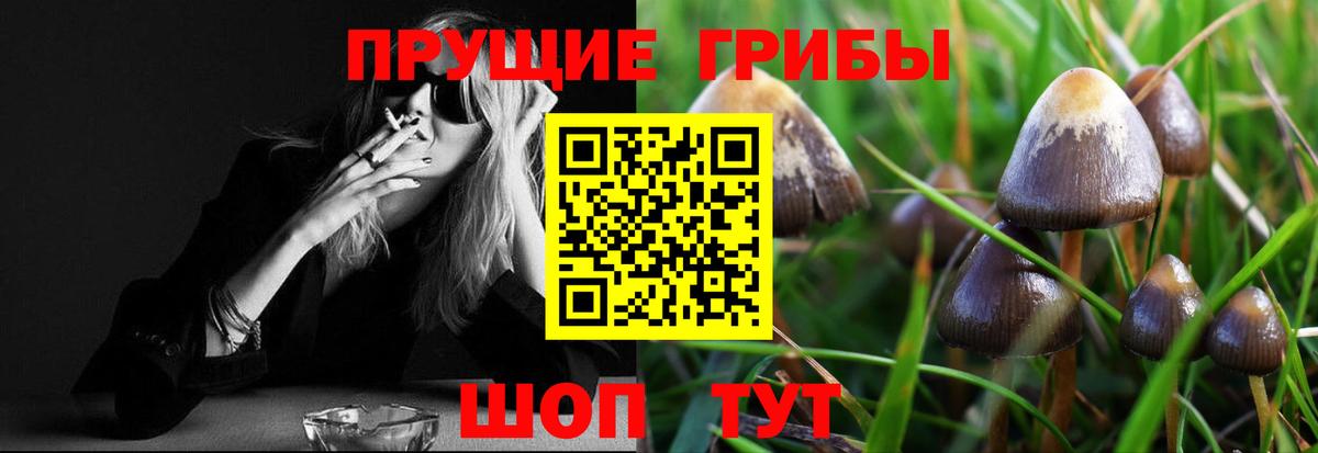 Псилоцибиновые грибы мицелий  Галлюциногенные грибы Cubensis  Узловая  Вход с VPN 